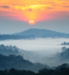Misty Mountain